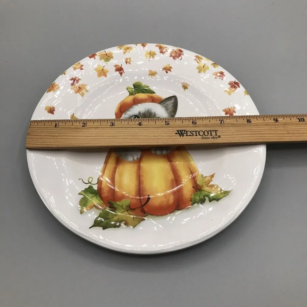 Pier 1 Exclusive FALL HALLOWEEN CAT IN PUMPKIN Salad Plate‎ SO CUTE